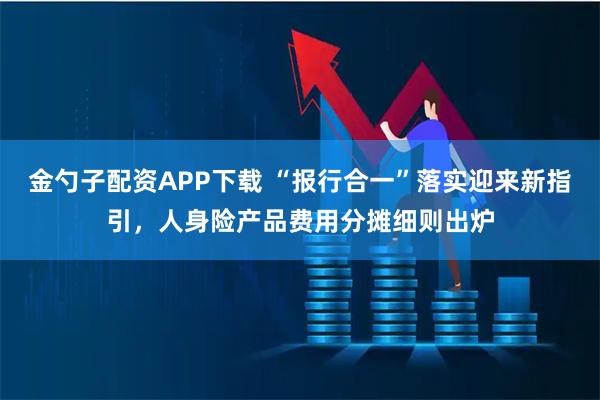 金勺子配资APP下载 “报行合一”落实迎来新指引,人身险产品费用分摊细则出炉