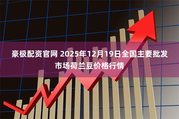 豪极配资官网 2025年12月19日全国主要批发市场荷兰豆价格行情