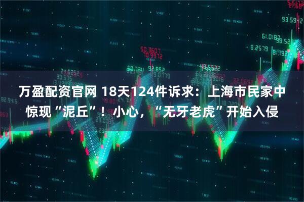 万盈配资官网 18天124件诉求：上海市民家中惊现“泥丘”！小心，“无牙老虎”开始入侵